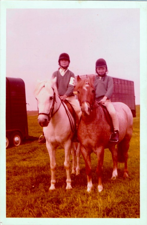 Grey Prince and Robin the ponies