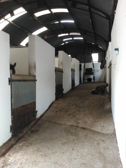 Stables