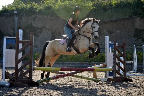 Girl jumping dun pony