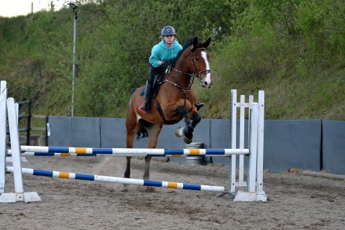 Margie Lowry show jumping lessons
