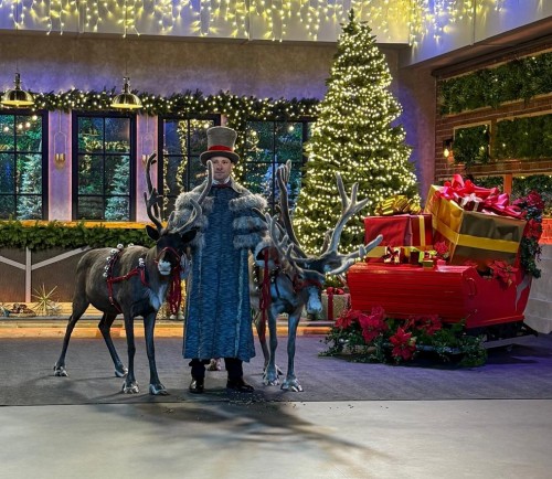 Nial & Reindeer