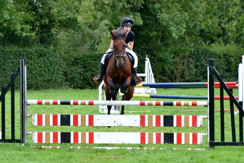 Showjumping