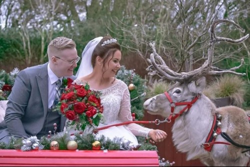 wedding