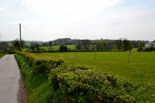 paddocks