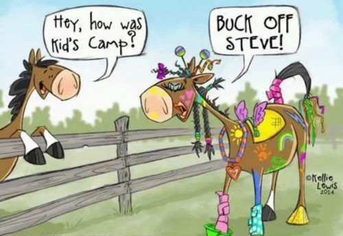 Funny picture
