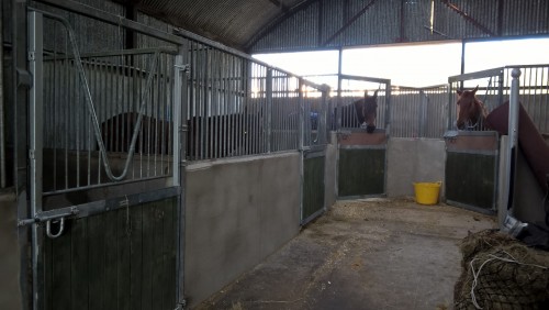 Stables