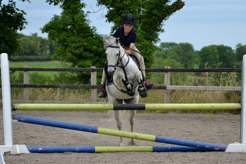 Showjumping lessons