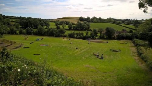 Cross country field